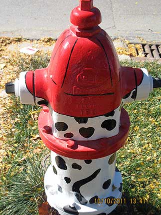 Madison and Summit - Dalmation with Fire Hat (2)